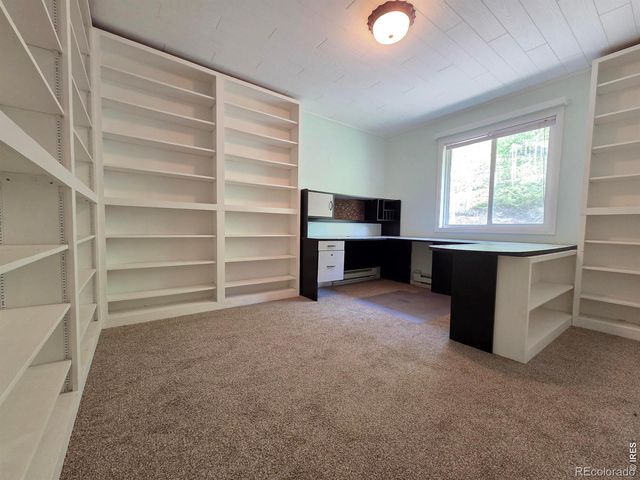 328 N Skinner Road, Allenspark, CO 80510