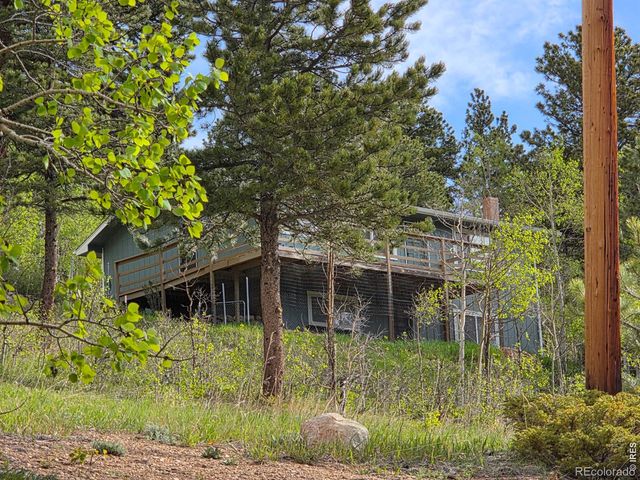 328 N Skinner Road, Allenspark, CO 80510