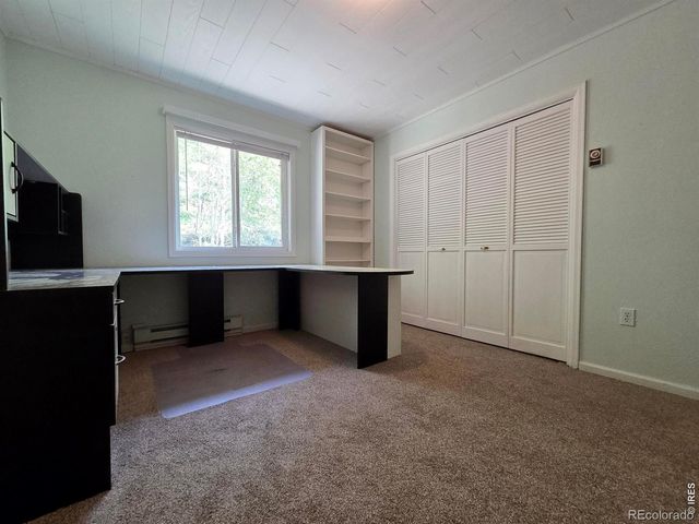 328 N Skinner Road, Allenspark, CO 80510