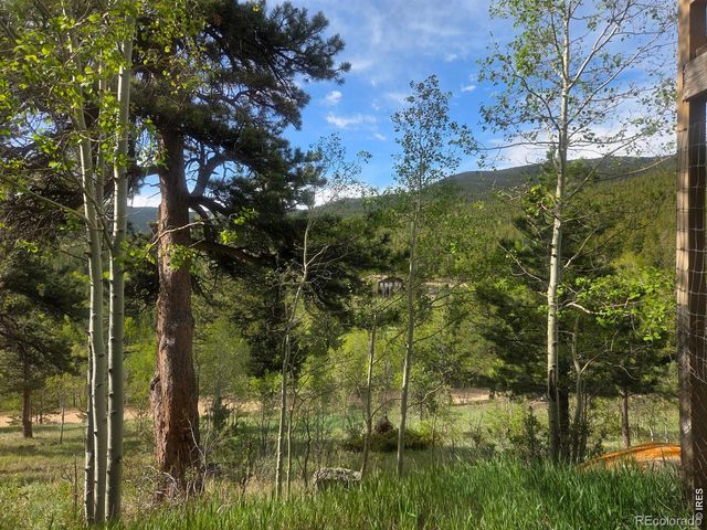 328 N Skinner Road, Allenspark, CO 80510