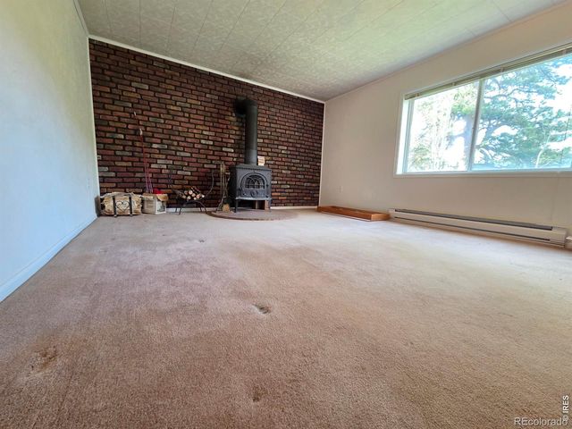 328 N Skinner Road, Allenspark, CO 80510