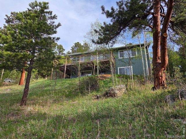 328 N Skinner Road, Allenspark, CO 80510