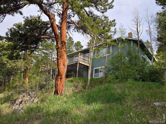 328 N Skinner Road, Allenspark, CO 80510