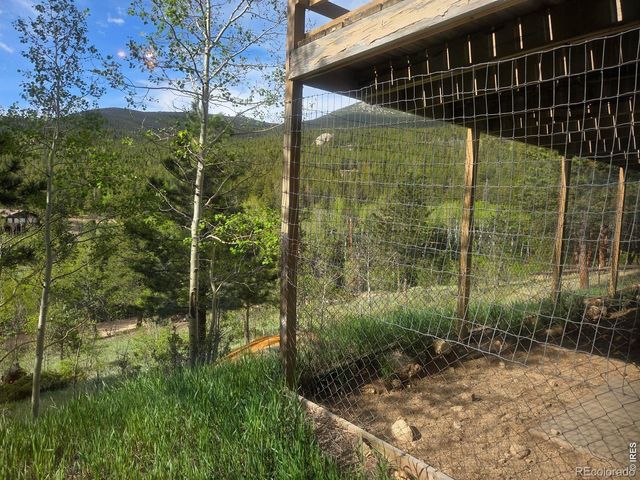 328 N Skinner Road, Allenspark, CO 80510