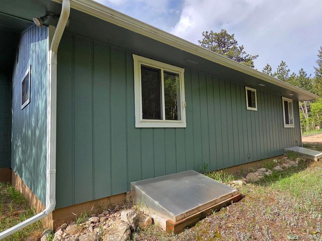 328 N Skinner Road, Allenspark, CO 80510