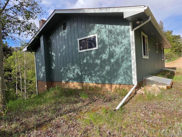 328 N Skinner Road, Allenspark, CO 80510