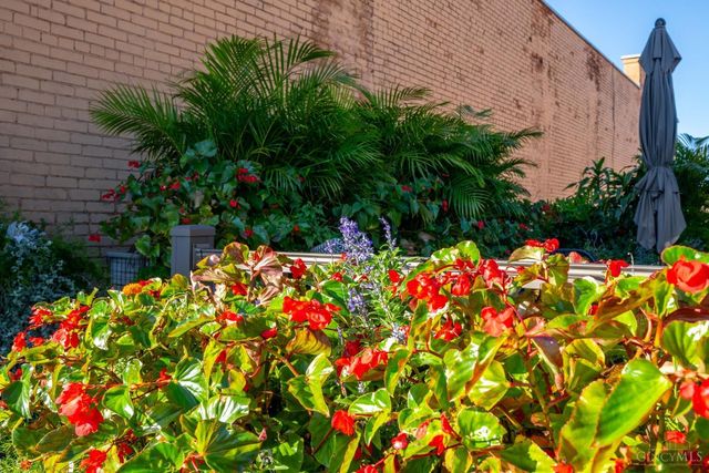 1203 Vine Street, Cincinnati, OH 45202