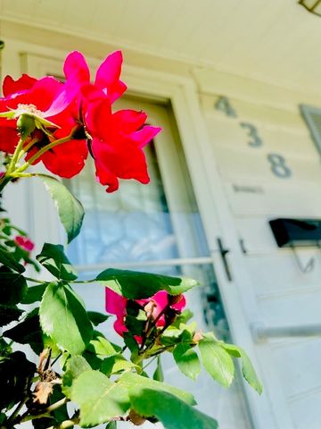 438 Atkins Street, Sulphur Springs, TX 75482