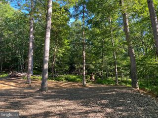2.28 AC THORN BOTTOM, Lost River, WV 26810