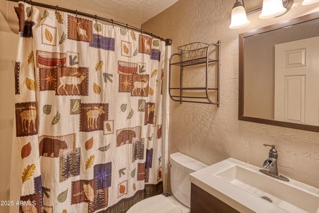 3011 S WAPITI Lane, Pinetop, AZ 85935