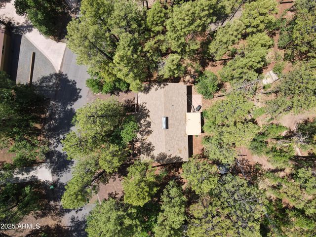 3011 S WAPITI Lane, Pinetop, AZ 85935