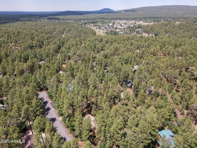 3011 S WAPITI Lane, Pinetop, AZ 85935