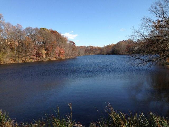 9580 NATURE TRL, Montgomery Village, MD 20886