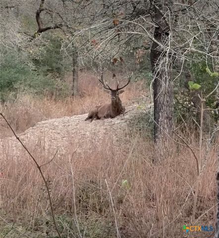 494 Flash Circle, Luling, TX 78648