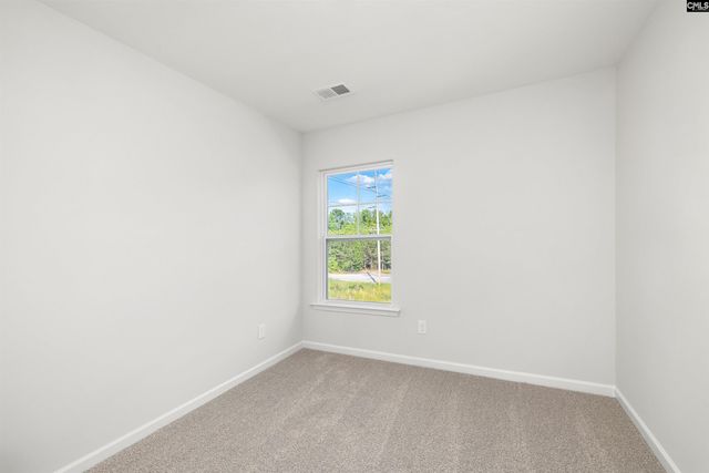 240 Brando Way, Columbia, SC 29223