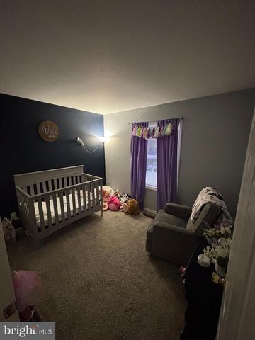 30009 W MILL RUN, Milton, DE 19968