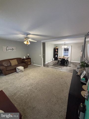 30009 W MILL RUN, Milton, DE 19968