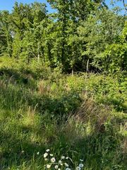 Cromarty Drive, Bella Vista, AR 72715