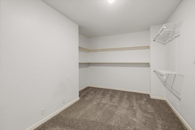 113 Rose Trail, Lake Jackson, TX 77566