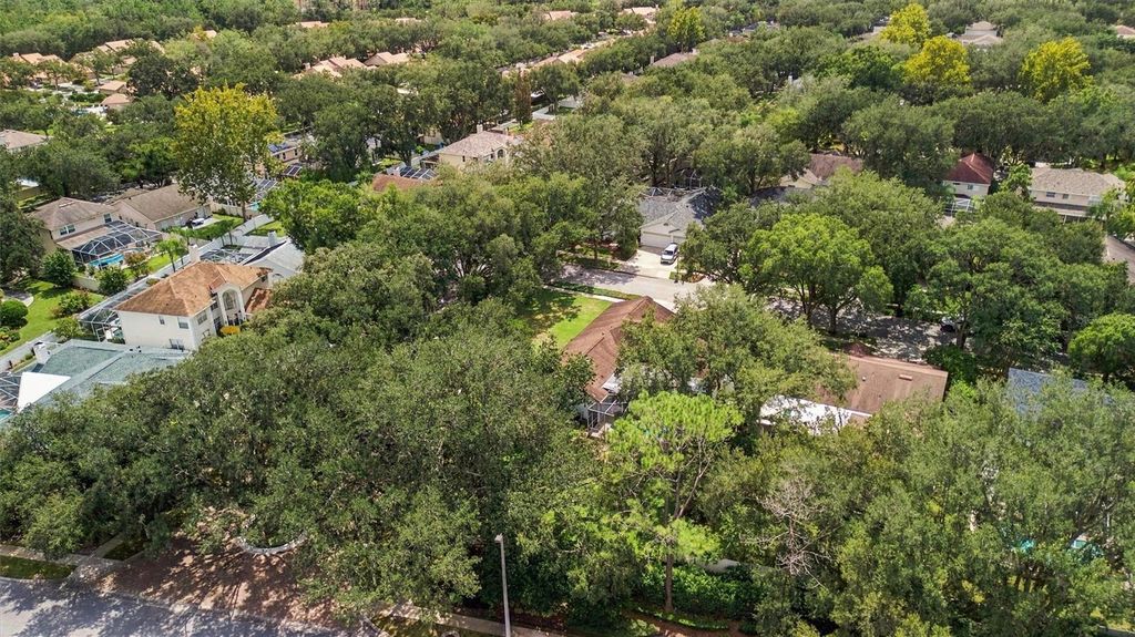 Image 83 of property listing at 9316 KNIGHTSBRIDGE COURT, Tampa, FL 33647