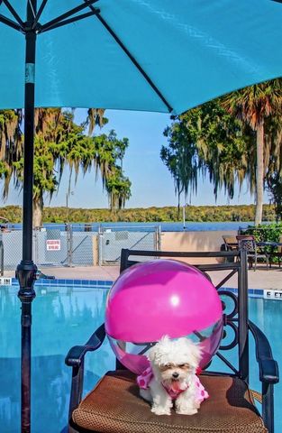 210 RIVER BEND PLACE B, Welaka, FL 32193