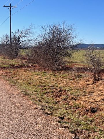 TBD County Road 365, Trent, TX 79561