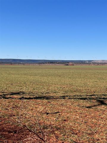 TBD County Road 365, Trent, TX 79561