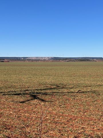 TBD County Road 365, Trent, TX 79561