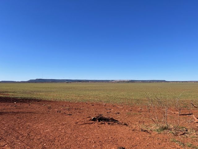 TBD County Road 365, Trent, TX 79561