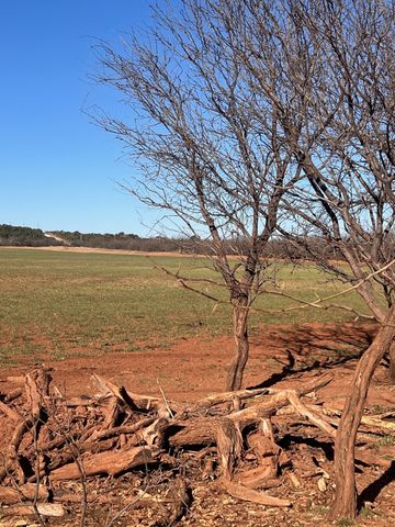 TBD County Road 365, Trent, TX 79561