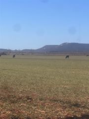 TBD County Road 365, Trent, TX 79561