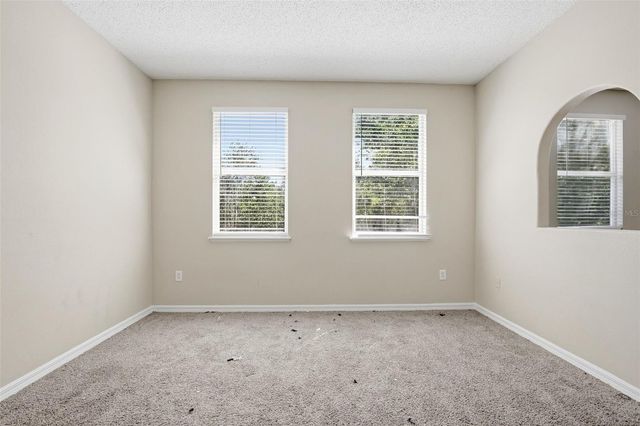 19222 WOOD SAGE DRIVE, Tampa, FL 33647