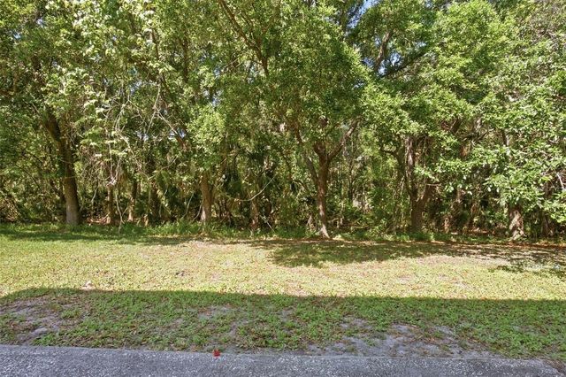 19222 WOOD SAGE DRIVE, Tampa, FL 33647