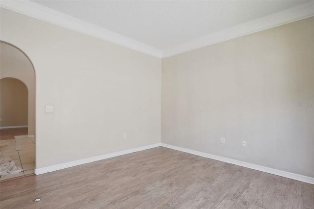 19222 WOOD SAGE DRIVE, Tampa, FL 33647