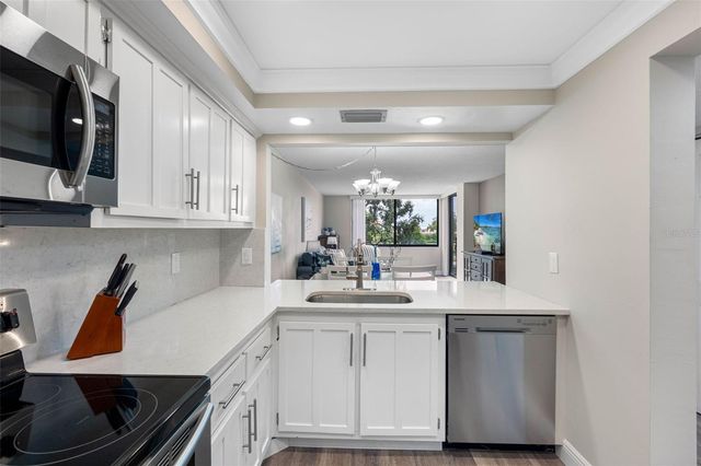 6158 PALMA DEL MAR BOULEVARD S 305, St Petersburg, FL 33715