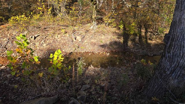 510 Good Spur, Shirley, AR 72153