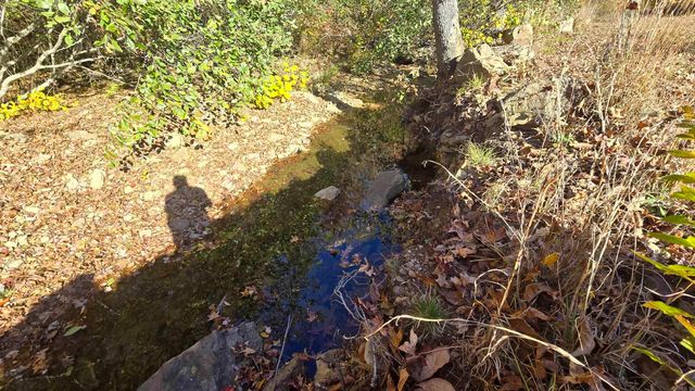 510 Good Spur, Shirley, AR 72153