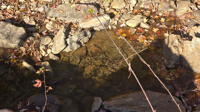 510 Good Spur, Shirley, AR 72153