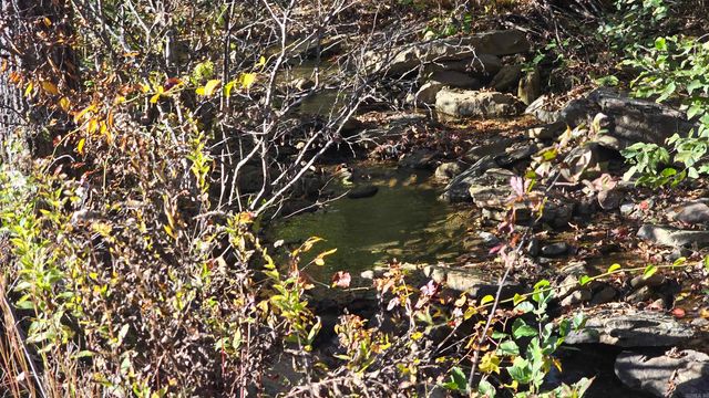 510 Good Spur, Shirley, AR 72153