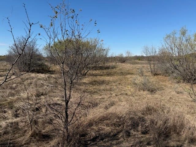 2045 Canyon Wren Loop, Graford, TX 76449
