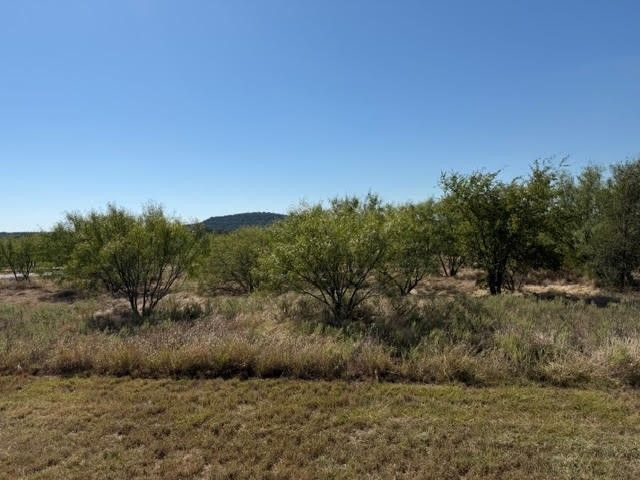 2045 Canyon Wren Loop, Graford, TX 76449