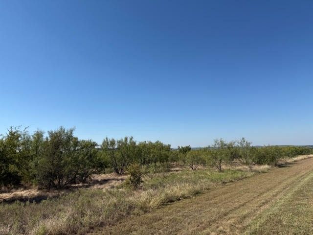 2045 Canyon Wren Loop, Graford, TX 76449