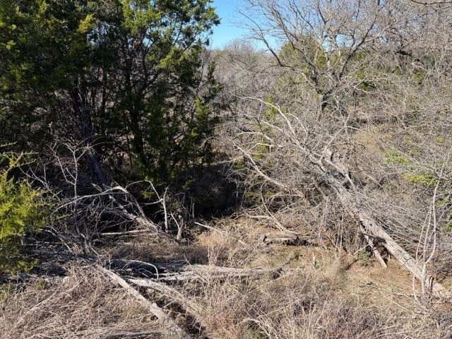 2045 Canyon Wren Loop, Graford, TX 76449