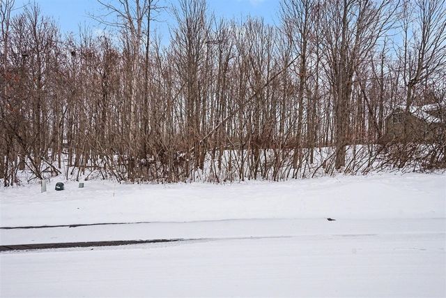 8655 Heron Court, Watervliet, MI 49098