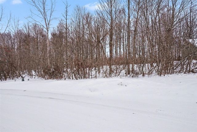 8655 Heron Court, Watervliet, MI 49098