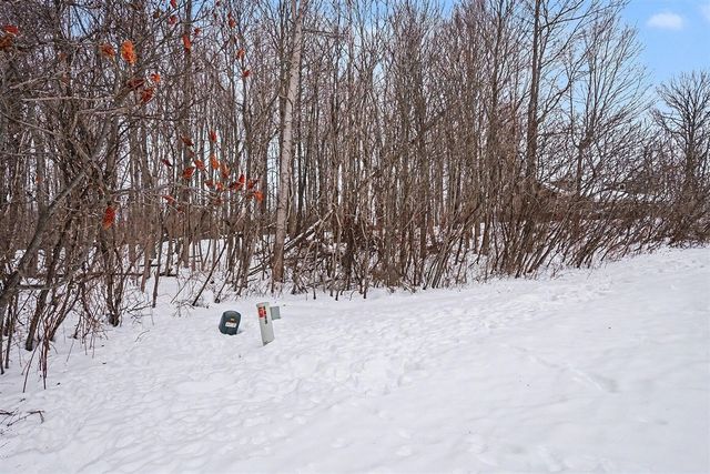 8655 Heron Court, Watervliet, MI 49098