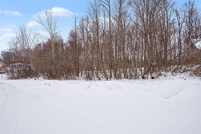 8655 Heron Court, Watervliet, MI 49098