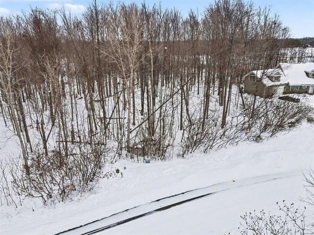 8655 Heron Court, Watervliet, MI 49098