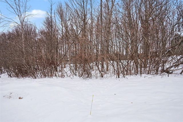 8655 Heron Court, Watervliet, MI 49098