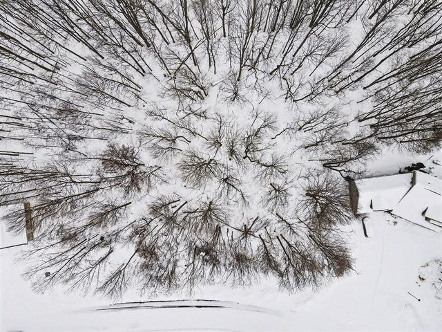 8655 Heron Court, Watervliet, MI 49098